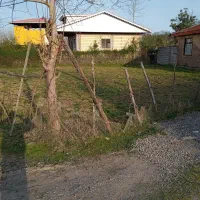 فروش زمین|فروش زمین و ملک کلنگی|ضیابر, |دیوار