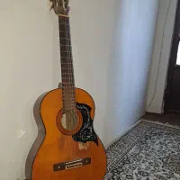 گیتار آریا ak 80، Aria Ak80