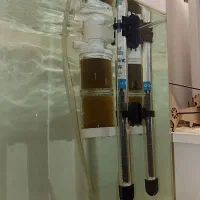 اکواریوم شیشه خم به همراه ماهی و متعلقات|ماهی|تهران, کوثر|دیوار