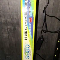 آکواریوم و لوازم|ماهی|قم, انصار‌الحسین|دیوار