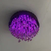 دو عدد لوستر سالم با LED