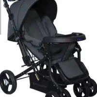 کالسکه دلیجان