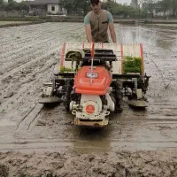 با خدمات ماشین نشا  کاری در خدمت هستیم