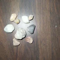 سنگ|کلکسیون سکه، تمبر، اسکناس|گلبهار, شهر جدید گلبهار|دیوار