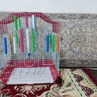 قفس بزرگ