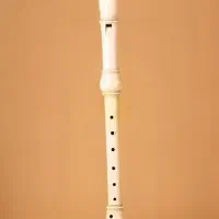 آموزش بلز و فلوت|خدمات آموزشی|رشت, استادسرا|دیوار