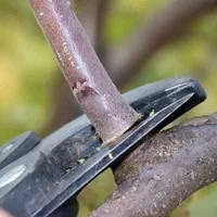 باغبانی سم تقویت کودهی گلکاری باغچه باغ روف گاردن