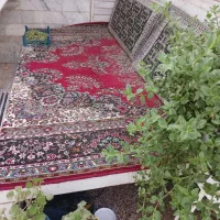 تخت حیاط