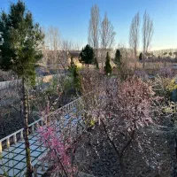 سرایدار تمام وقت برای باغ شخصی شهریار|استخدام سرایداری و نظافت|شهریار, بکه|دیوار