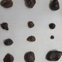 شهاب سنگ