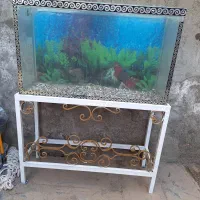 اکواریوم با وسایل|ماهی|پاکدشت, شهرک انقلاب|دیوار