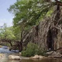 استخدام کارشناس حسابداری در شرکت تولید آب معدنی