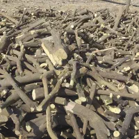 خرید چوب مرکبات