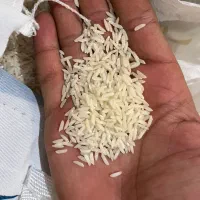 برنج هاشمی درجه یک|عمده‌فروشی|دماوند, گیلاوند|دیوار