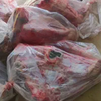 کله گوساله و پاچه و سیرابی|خوردنی و آشامیدنی|بجنورد, |دیوار