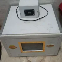 دستگاه جوجه کشی ۴۲ عددی|حیوانات مزرعه|صدرا-فارس, فاز ۱|دیوار