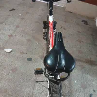 دوچرخه ویوا تایوان اصل اقساط|دوچرخه، اسکیت، اسکوتر|کرمان, |دیوار