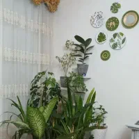 ست ها خاص و زیبا