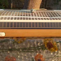 هود|هود|آق قلا, |دیوار