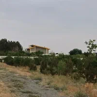 ۸۵۰متر سند تکبرگ با نهال تزئینی شاهنامه۶۷|فروش خانه و ویلا|مشهد, توس فردوسی|دیوار