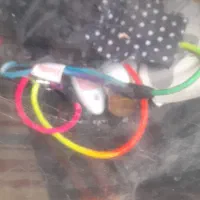 نژاد گربه اسکاتیش فولد|گربه|قرچک, باقرآباد|دیوار