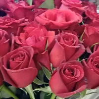 شاخه ای ۵۰ هزار همشو بردارید شاخه ای ۴۰