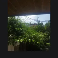 اسکان اضطراری اجاره|اسکان اضطراری|رویان, |دیوار