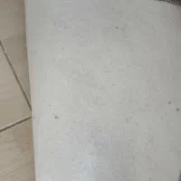 موکت|موکت|قزوین, |دیوار