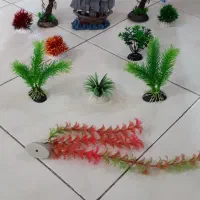 *حراج* بهترین و ارزانترین وسایل اکواریم|ماهی|ری, شهید بهشتی|دیوار