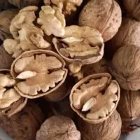 کشک گوسفندی .گردو تازه