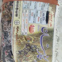 قالی 12متری|فرش|یزد, |دیوار