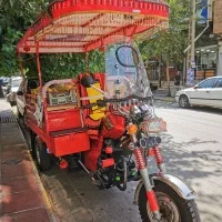 فلات 200 سی سی مدل 96 عروسک