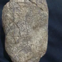 فسیل تخم دایناسور پرند|کلکسیون و سرگرمی|قیدار, |دیوار