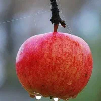 سیم کارت ۱۴۱ خط رند بدون زنگ خور