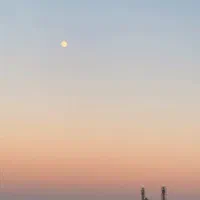 اسنخدام نگهبان حراست