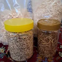 خوراک و پوشال پرنده|لوازم جانبی حیوانات|قم, زنبیل آباد|دیوار