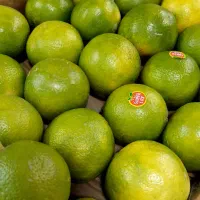 لیمو شیرین تازه و مرغوب + هایپر میوه گلچین|خوردنی و آشامیدنی|شاهدشهر, |دیوار
