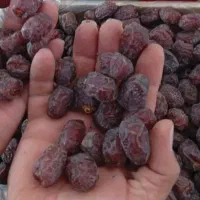 خرمای مرداسنگ فوق العاده لوکس آجیلی