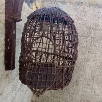 قفس پرنده
