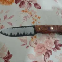 چاقو لوکس کلکسیونی