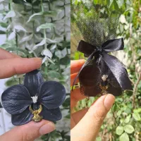 گیفت شب های قدر