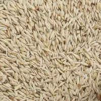 جو بسیار تمیز چاق