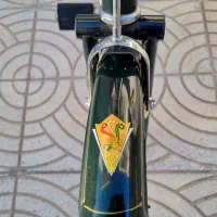 دوچرخه  فونیکس(سه مار )