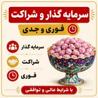 سرمایه گذار و شراکت فوری