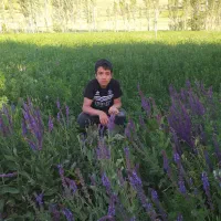 فروش ۲هکتارزمین کشاورزی روستای صیدان