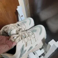 کفش کتونی|کیف، کفش، کمربند|اسفراین, |دیوار