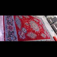 فروش ۲ عدد قالی ۱۲ متری|فرش|باغ ملک, |دیوار