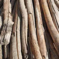 خرید انواع چوب و فروش ذغال کبابی