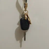 مسافر نیاز به سرویس دهی