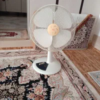 پنکه